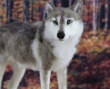 Wool winston wolf for sale  BIRMINGHAM