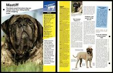 Mastiff breed dogs for sale  SLEAFORD