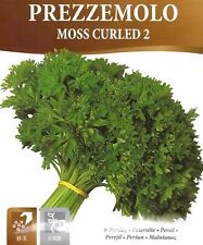 Parsley moss curled for sale  SALISBURY