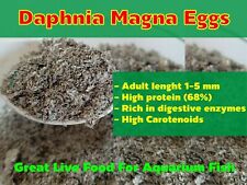 Daphnia magna eggs d'occasion  Expédié en Belgium