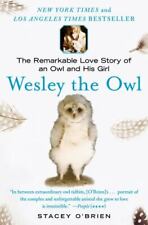 Wesley owl remarkable for sale  Houston