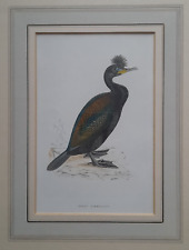 Antique green cormorant for sale  BRISTOL