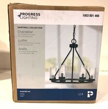 Progress lighting hartwell for sale  Anderson