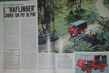 Haflinger fuori strada usato  Pinerolo