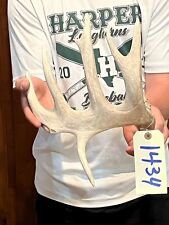 Droptine whitetail deer for sale  Harper