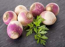 Turnips for sale  EGHAM