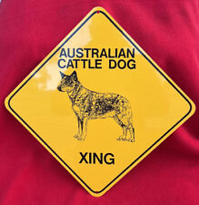 Australian cattle dog for sale  Derry