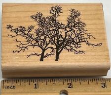 Stampscapes oak tree for sale  Los Angeles