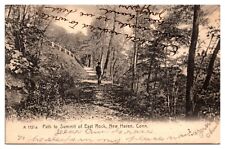 Usado, Cartão postal 1909 Path to Summit of East Rock, Forest Scene, New Haven, CT comprar usado  Enviando para Brazil