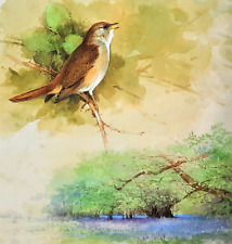 Nightingale singing bluebell for sale  NELSON