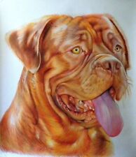 dogue bordeaux usato  Torino