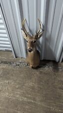 Vintage whitetail deer for sale  Corinth