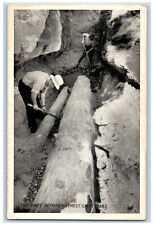 Used, The Pines Petrified Forest Geologists Scene California CA Vintage Postcard for sale  Shipping to South Africa