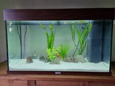 Juwel Rio 125 Aquarium Fish Tank With Stand-Cabinet-Dark Wood for sale  YEOVIL