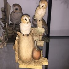 Teviotdale barn owl for sale  TELFORD