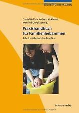 Praxishandbuch für familienhe usato  Spedire a Italy