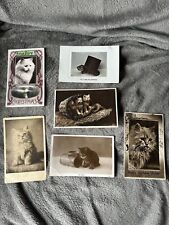 Vintage post cards for sale  WADEBRIDGE