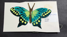 Beautiful butterfly decorative for sale  Flushing