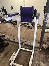 Commercial gym dip for sale  MACCLESFIELD