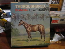 Aurora throroughbred race for sale  Round Rock
