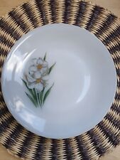 Assiette plate arcopal d'occasion  Châteauroux