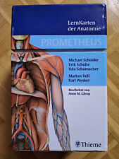 Prometheus lernkarten anatomie gebraucht kaufen  Germering