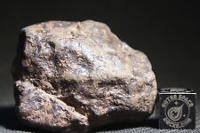 Nwa unclassified meteorite for sale  Rumson