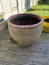Large clay plant for sale  ALFRETON