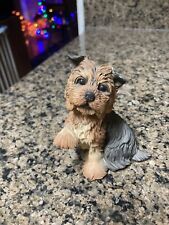 puppy yorkies for sale  Bloomfield