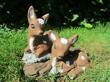 Stunning twin deer for sale  Carmi