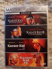 Karate kid master usato  Gemonio