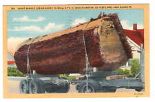 Postcard spruce log for sale  Thornton