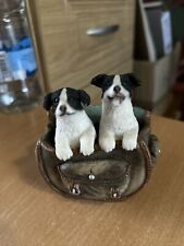 Two puppy border for sale  PLYMOUTH