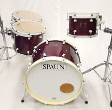 Spaun custom series for sale  Shipping to Ireland