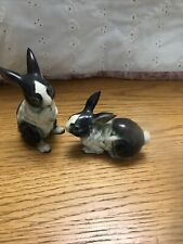 Black white rabbits for sale  CALDICOT