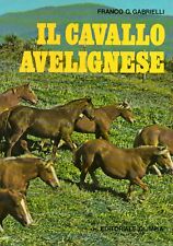 Cavallo avelignese franco usato  Italia