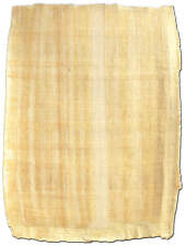 Papyrus blatt 40x30cm gebraucht kaufen  Glauburg