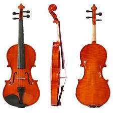V01 violino 4 usato  Salice Salentino