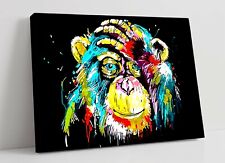 BANKSY RAINBOW MONKEY-DEEP FRAMED CANVAS WALL SPLASH ART PICTURE PAPER PRINT- for sale  LONDONDERRY