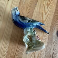 Jema holland bird for sale  CAMBORNE