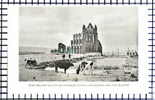C6487 whitby abbey for sale  Shipping to Ireland