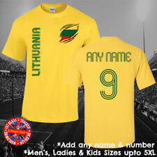 Lithuania football fan for sale  LONDON