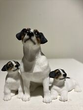 russell terrier puppies for sale  BIRMINGHAM