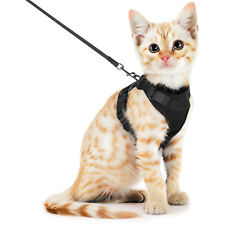Cat pet harness for sale  SOLIHULL