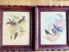 Vintage hummingbirds lithograp for sale  Denver