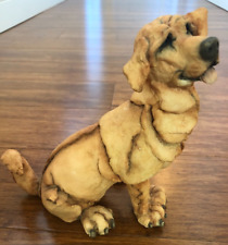 Golden retreiver dog for sale  Middletown