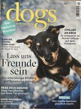 Dogs hundemagazin 2021 gebraucht kaufen  DO-Syburg
