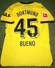 Bvb matchworn prepared gebraucht kaufen  Ibbenbüren