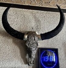 Longhorn büffelkopf büffelsc gebraucht kaufen  Glees, Wassenach, Wehr