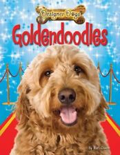 Goldendoodles for sale  Denver